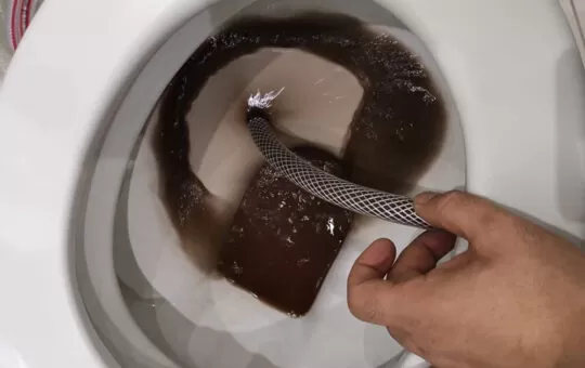 Petek Temizleme